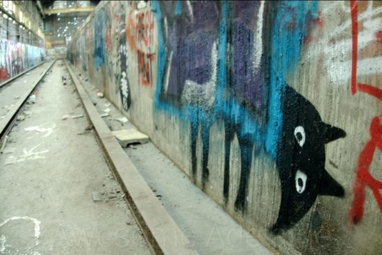 Urban Exploring Back To The Cat Warehouse — Awesome Adelaide