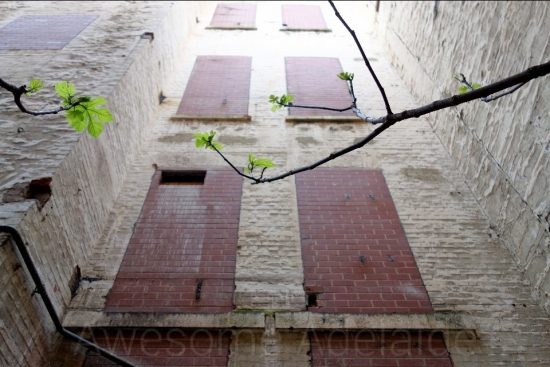 Urban Exploring The Gallerie — Awesome Adelaide