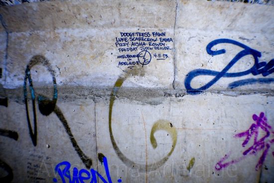 Urban Exploring The Twin 60s — Awesome Adelaide