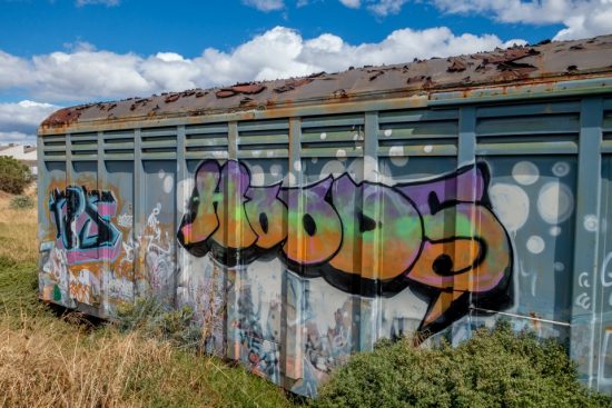 Urban Exploring Pacific National Freight Car Graveyard — Awesome Adelaide