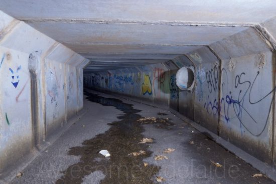 Urban Exploring The Adelaide Darkie [Part 2] — Awesome Adelaide