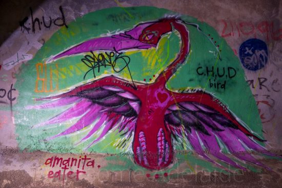 Urban Exploring The Adelaide Darkie [Part 2] — Awesome Adelaide