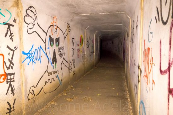 Urban Exploring St Peters Twins [Square Entrance] — Awesome Adelaide