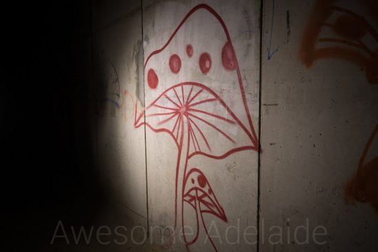 Urban Exploring Littlehampton Twins — Awesome Adelaide