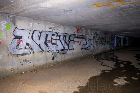 Urban Exploring Zorgas Tomb — Awesome Adelaide