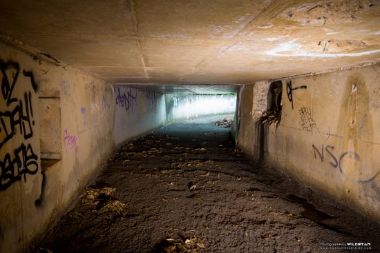 Urban Exploring Schweppes — Awesome Adelaide