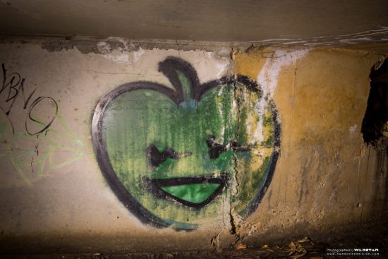 Urban Exploring Schweppes — Awesome Adelaide