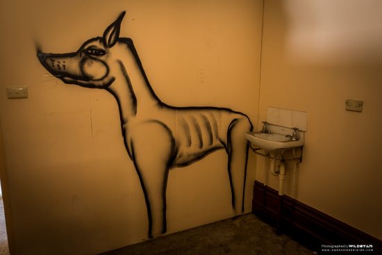 Urban Exploring Gawler Chambers — Awesome Adelaide