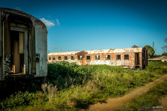 picture Tailem Bend Train Graveyard the port pirie train graveyard