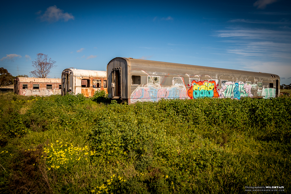 pix Tailem Bend Train Graveyard the port pirie train graveyard