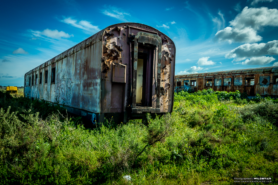 pics Tailem Bend Train Graveyard the port pirie train graveyard