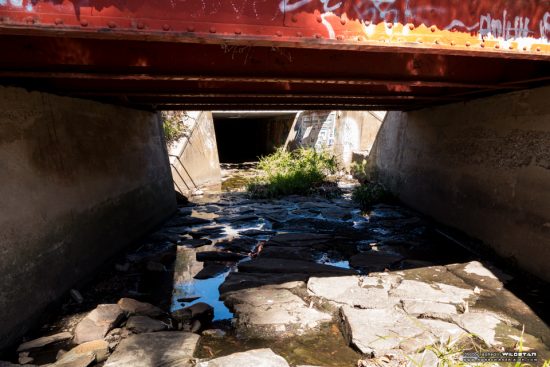 Urban Exploring Showbags — Awesome Adelaide