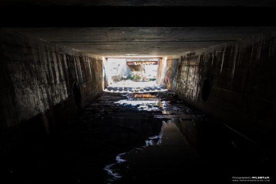 Urban Exploring Showbags — Awesome Adelaide