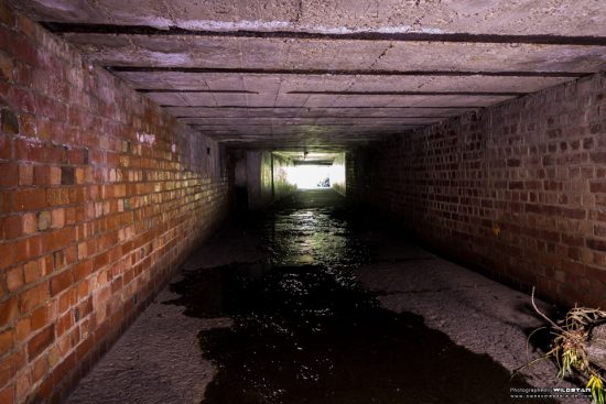 Urban Exploring Showbags — Awesome Adelaide