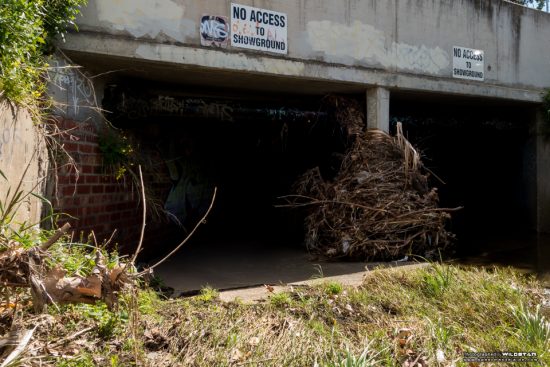 Urban Exploring Showbags — Awesome Adelaide