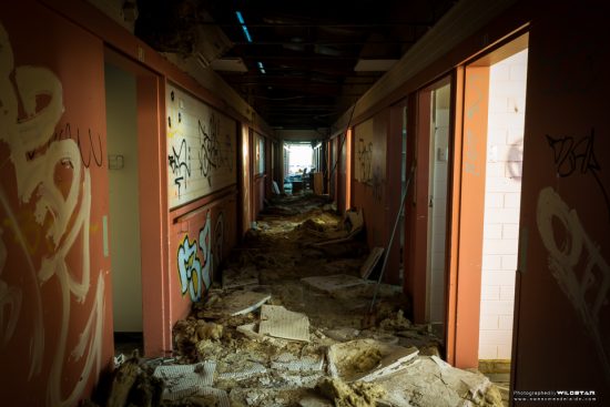 Urban Exploring Bats Palace — Awesome Adelaide
