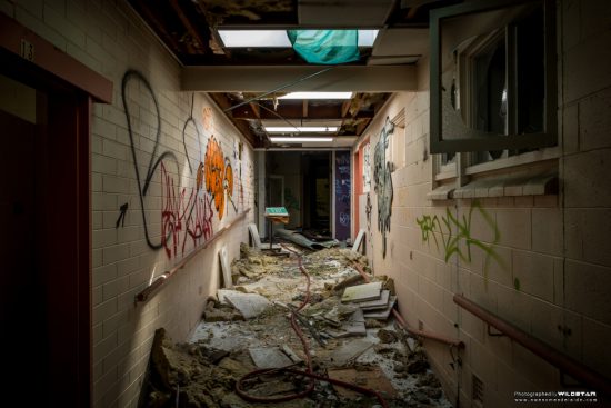 Urban Exploring Bats Palace — Awesome Adelaide