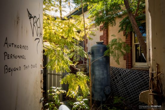 Urban Exploring Bats Palace — Awesome Adelaide