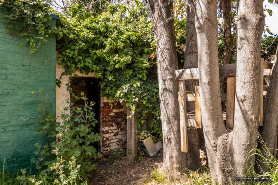 Urban Exploring The Tree House — Awesome Adelaide