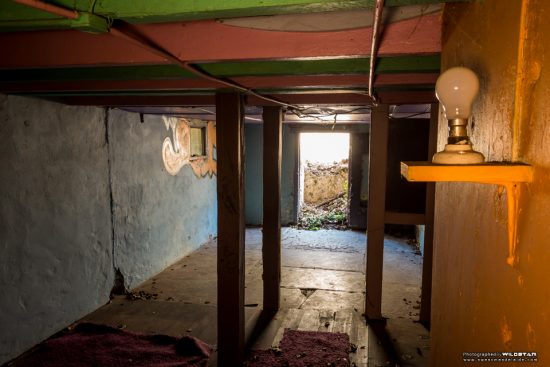 Urban Exploring The Tree House — Awesome Adelaide