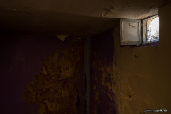 Urban Exploring The Tree House — Awesome Adelaide