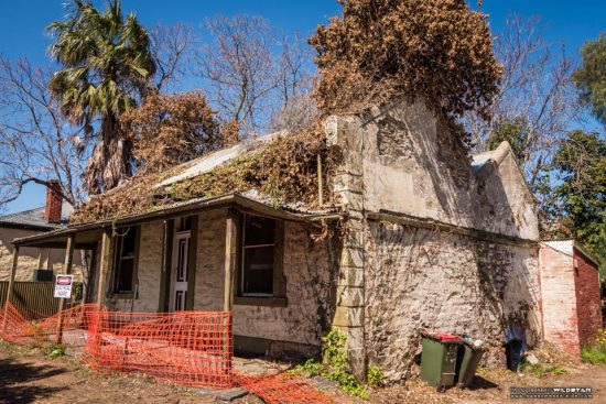 Urban Exploring The Tree House — Awesome Adelaide