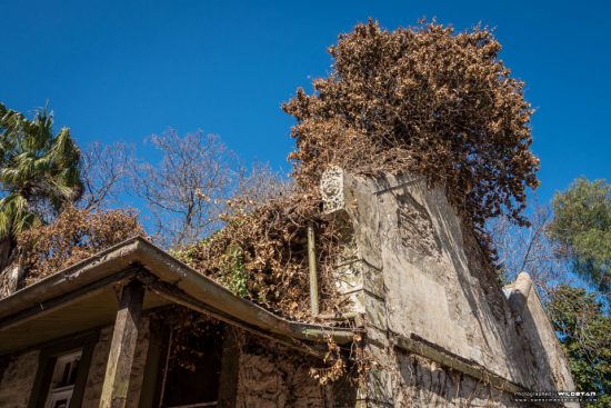 Urban Exploring The Tree House — Awesome Adelaide