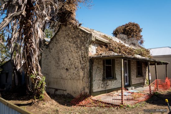 Urban Exploring The Tree House — Awesome Adelaide