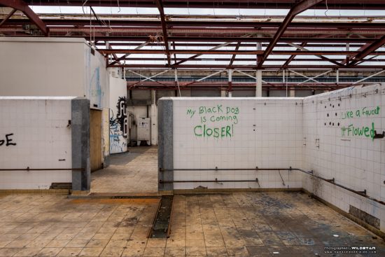 Urban Exploring Freshly Baked — Awesome Adelaide