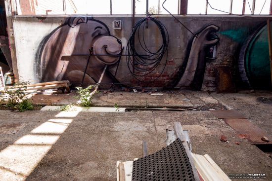 Urban Exploring Metro Meats — Awesome Adelaide