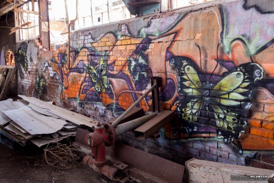 Urban Exploring Metro Meats — Awesome Adelaide