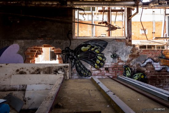 Urban Exploring Metro Meats — Awesome Adelaide