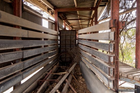Urban Exploring Metro Meats — Awesome Adelaide