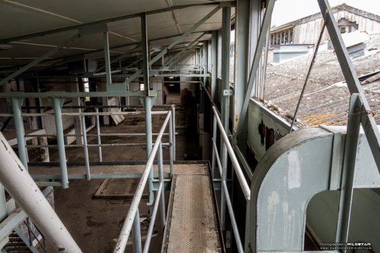 Urban Exploring Metro Meats — Awesome Adelaide