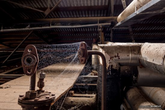 Urban Exploring Metro Meats — Awesome Adelaide