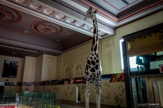 Urban Exploring The Old Regent Cinema — Awesome Adelaide