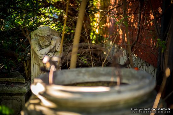 Urban Exploring The Pot House — Awesome Adelaide