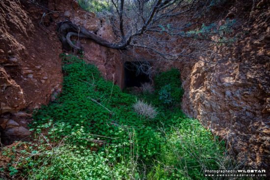 Urban Exploring Dobby's Lair — Awesome Adelaide