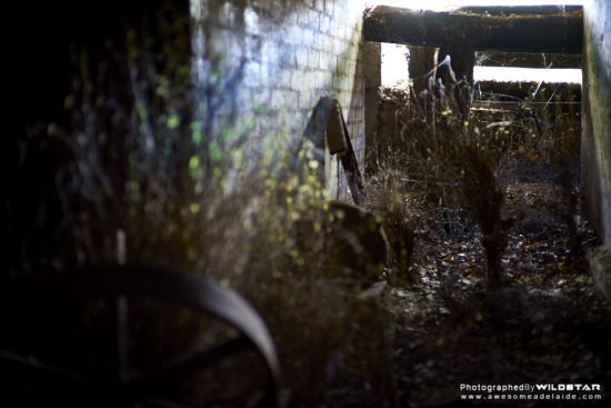 Urban Exploring Hagrid's Hut — Awesome Adelaide