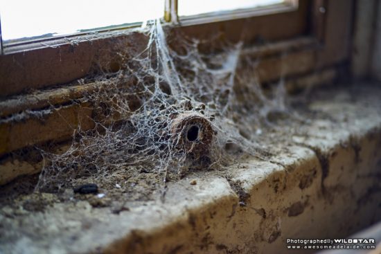 Urban Exploring Hagrid's Hut — Awesome Adelaide