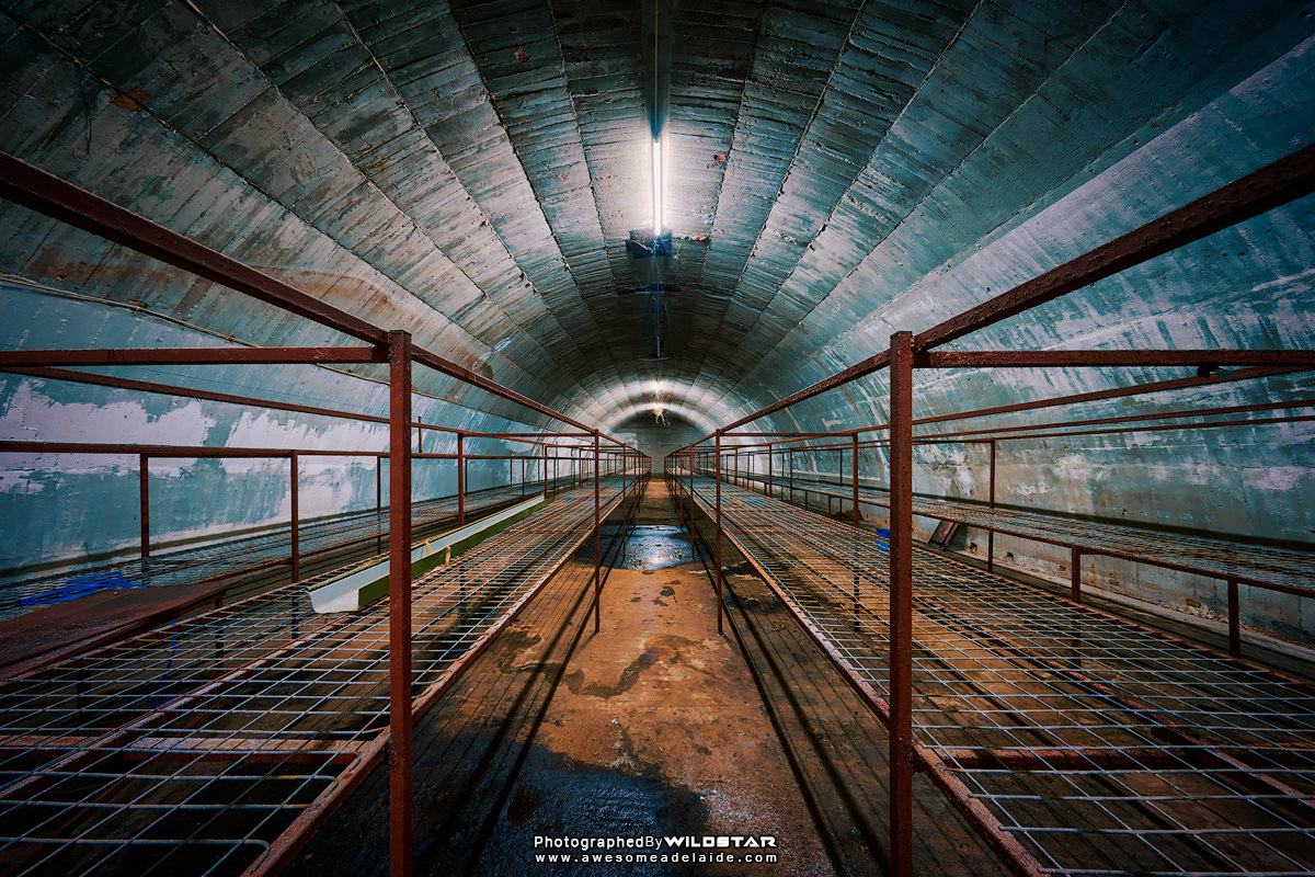 Exploration of Adelaide's Underground Bunkers, Air-Raid Shelters & Bomb ...