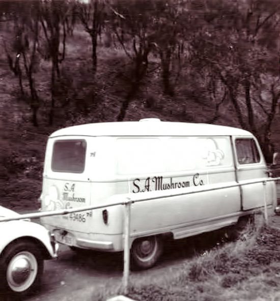 Original van with S.A. Mushroom Co. in italics. (Source: Supplied)