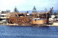 Buffalo Replica (Source: Ryan Smith)