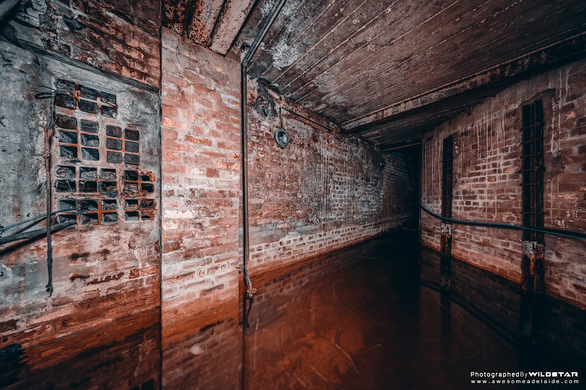 Hall Of The Dead, Underground Tunnel, Metro Adelaide.