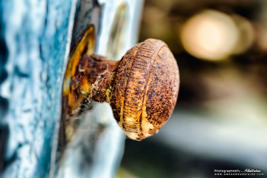 Bikes & Bits, Abandoned Building, Metro Adelaide.