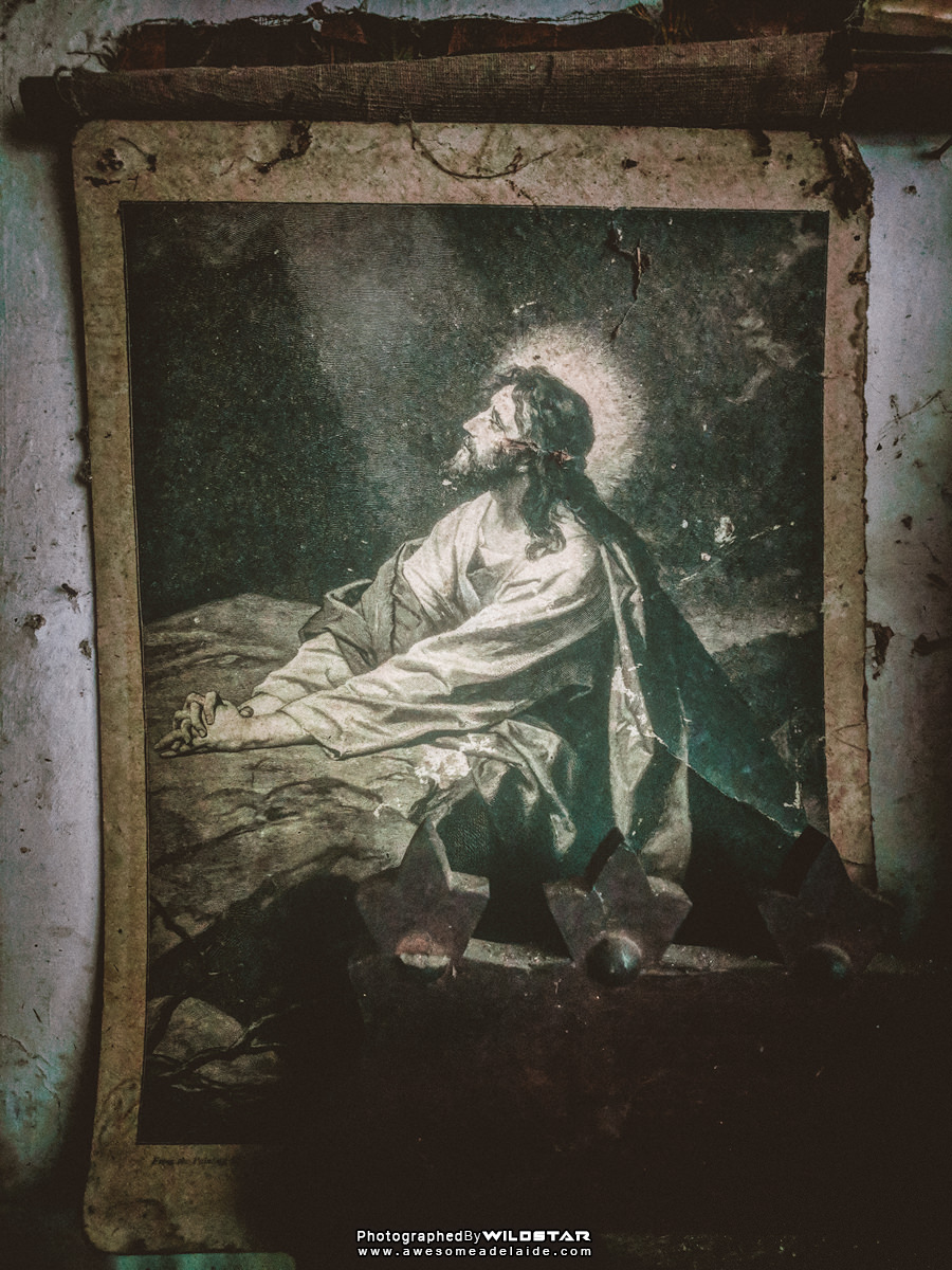 Urban Exploring The House of Psychedelia, Royce Wells