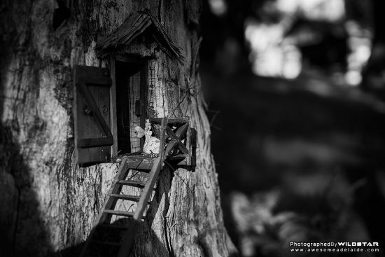 Urban Exploring Fairyland Village — Awesome Adelaide