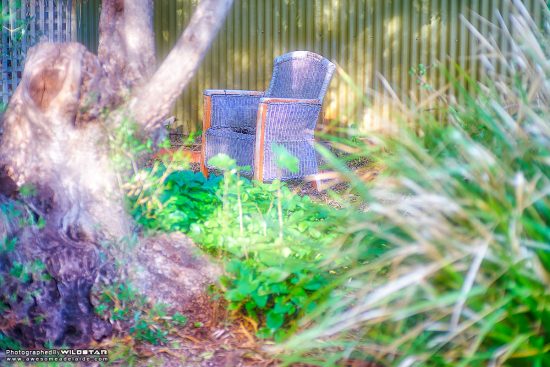 Carmelite Monastery Exploration — Awesome Adelaide